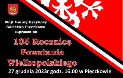 Zdjęcie do Obchody Zwycięskiego Powstania Wielkopolskiego 
